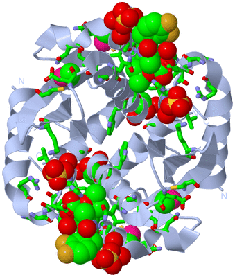 Image Biol. Unit 1 - sites