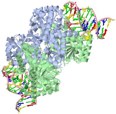 Image Biological Unit 1