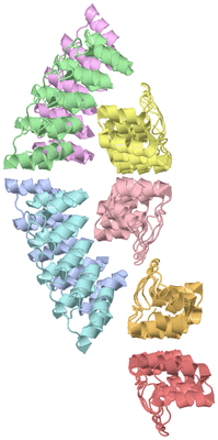 Image Asymmetric Unit