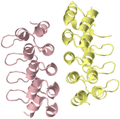 Image Biological Unit 3