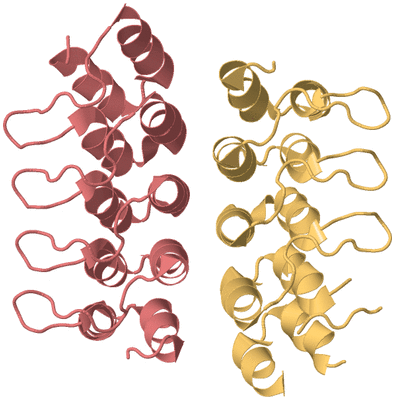 Image Biological Unit 4