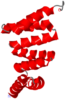 Image Asymmetric Unit