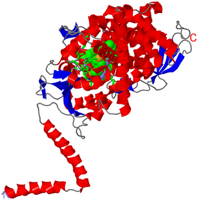 Image Asym./Biol. Unit - sites