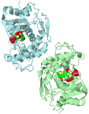 Image Biological Unit 2