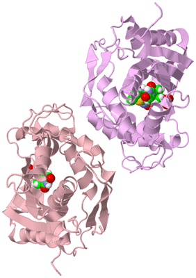 Image Biological Unit 3