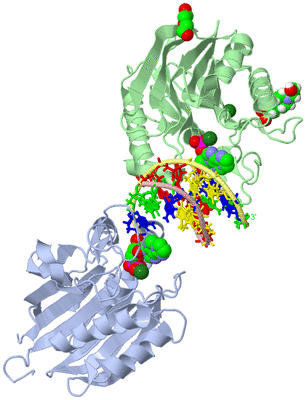 Image Asym./Biol. Unit