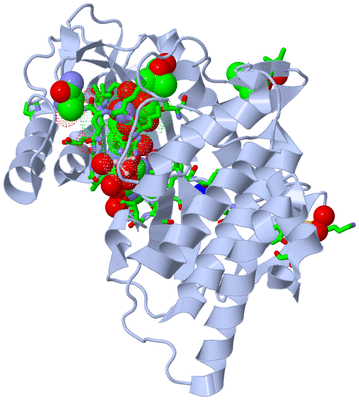 Image Asym./Biol. Unit - sites