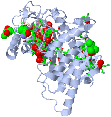 Image Asym./Biol. Unit - sites