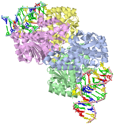 Image Asym./Biol. Unit