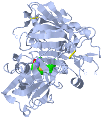 Image Biological Unit 1