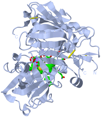 Image Biol. Unit 1 - sites