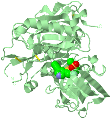 Image Biological Unit 2