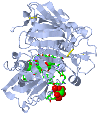 Image Biol. Unit 1 - sites