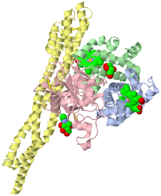 Image Asym./Biol. Unit