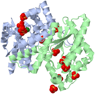 Image Asym./Biol. Unit