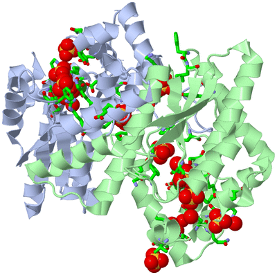 Image Asym./Biol. Unit - sites