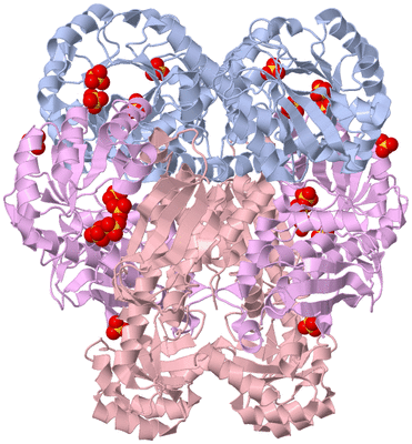 Image Biological Unit 1