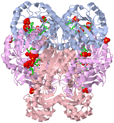 Image Biol. Unit 1 - sites