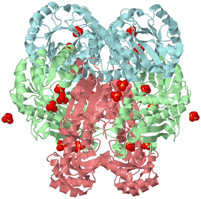 Image Biological Unit 2