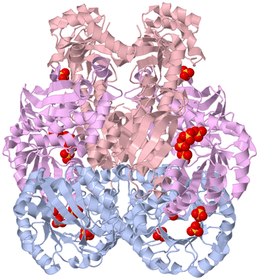 Image Biological Unit 1