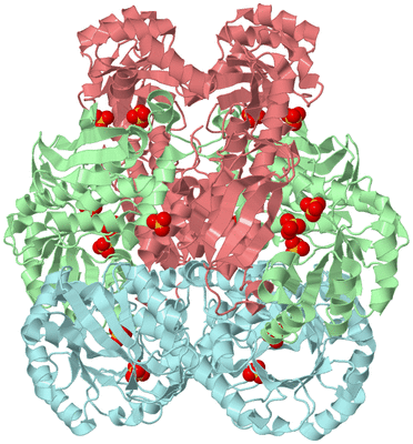 Image Biological Unit 2