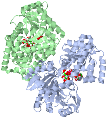 Image Asymmetric Unit