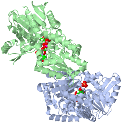 Image Biological Unit 1