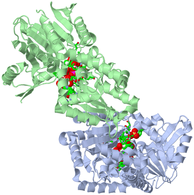 Image Biol. Unit 1 - sites