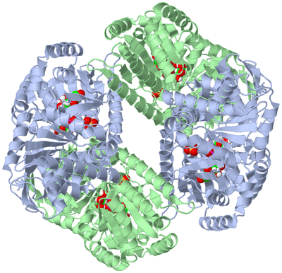 Image Biological Unit 2