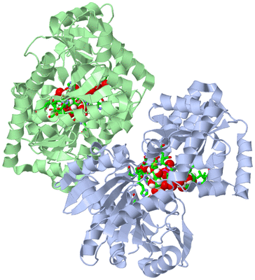Image Asym. Unit - sites