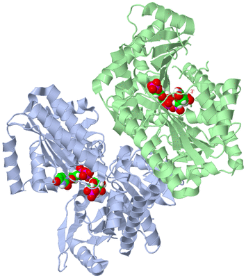 Image Asymmetric Unit