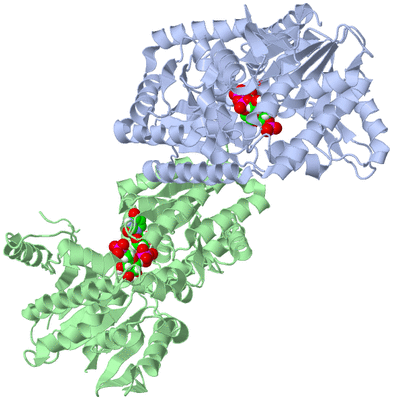 Image Biological Unit 1