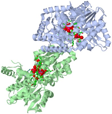 Image Biol. Unit 1 - sites