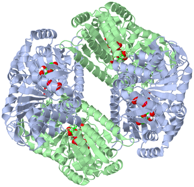 Image Biological Unit 2