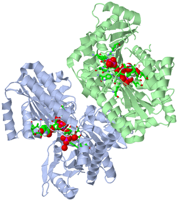 Image Asym. Unit - sites