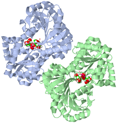Image Asym./Biol. Unit