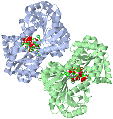 Image Asym./Biol. Unit - sites