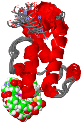 Image NMR Structure - all models