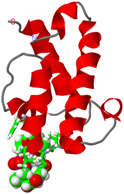 Image NMR Structure - model 1, sites