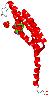 Image Asymmetric Unit