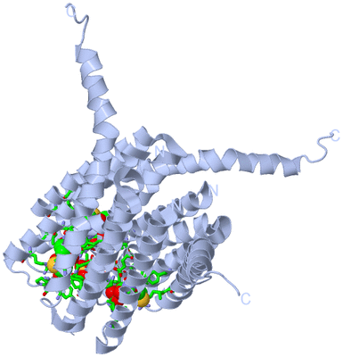 Image Biol. Unit 1 - sites