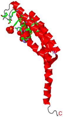 Image Asym. Unit - sites