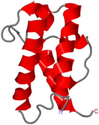 Image NMR Structure - model 1