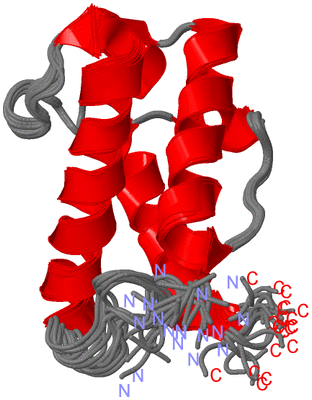 Image NMR Structure - all models