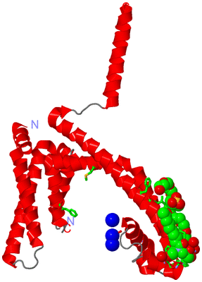 Image Asym. Unit - sites