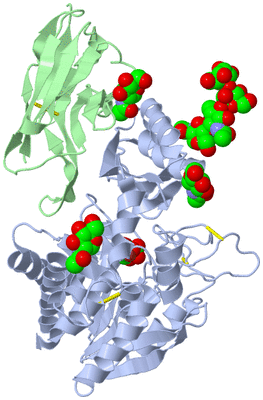 Image Asym./Biol. Unit