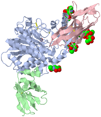 Image Asym./Biol. Unit