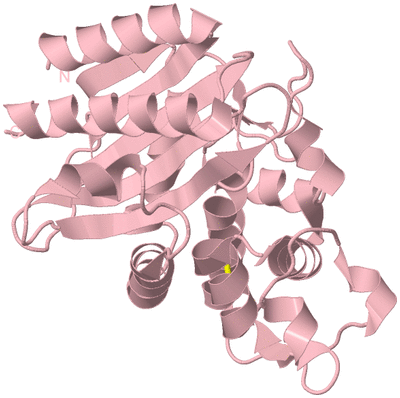 Image Biological Unit 3