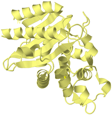 Image Biological Unit 4