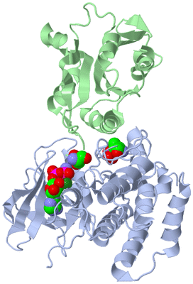 Image Biological Unit 1